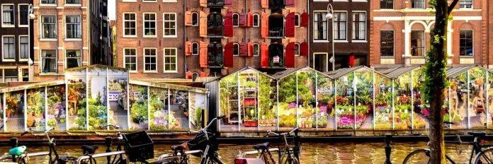 10 địa điểm nên ghé thăm khi du lịch Amsterdam – Thành phố đầy sắc màu và đa dạng văn hóa