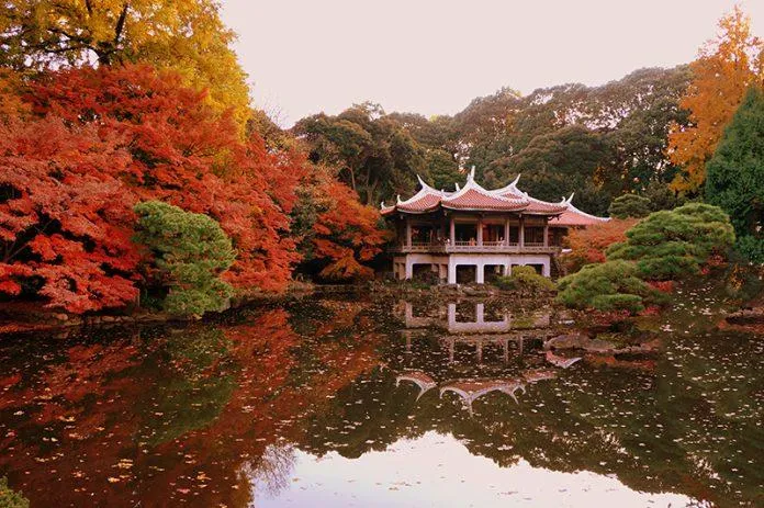 10 địa điểm nên khám phá khi du lịch Tokyo – Kiến trúc đa dạng và văn hóa độc đáo