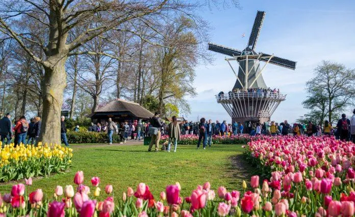 10 địa điểm thú vị nên ghé thăm khi du lịch Hà Lan