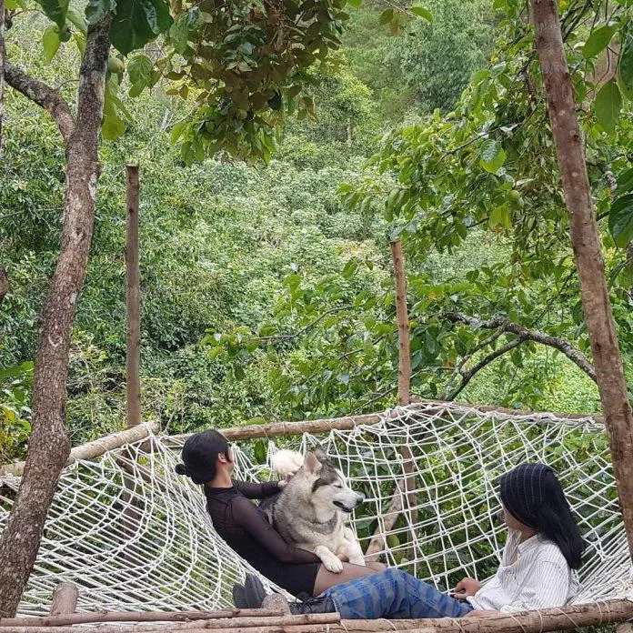 10 homestay Đà Lạt chắc chắn sẽ khiến bạn “yêu từ cái nhìn đầu tiên”