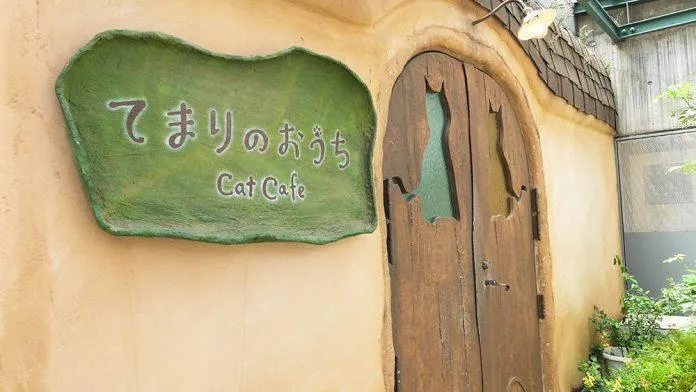 10 quán cafe động vật “cute siêu cấp” ở Tokyo cho bạn vui đùa thả ga cùng thú cưng!