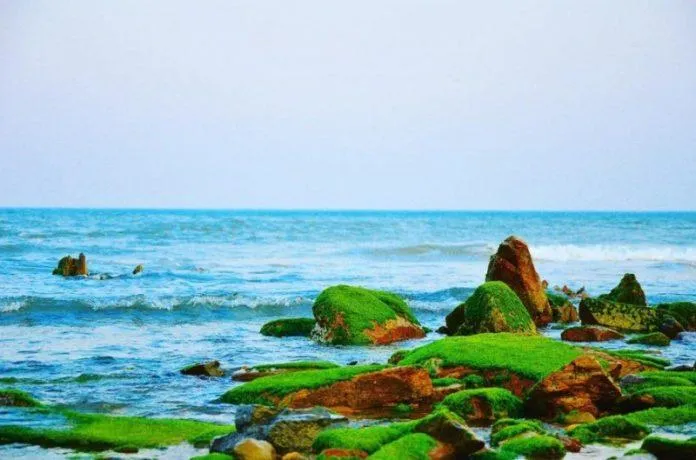 6 bãi biển Hà Tĩnh hoang sơ cực đẹp mà có thể bạn chưa khám phá hết