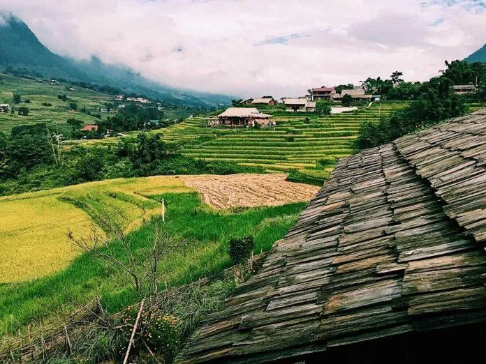 6 địa điểm du lịch lý tưởng để chiêm ngưỡng mùa vàng tuyệt đẹp miền núi Bắc Bộ