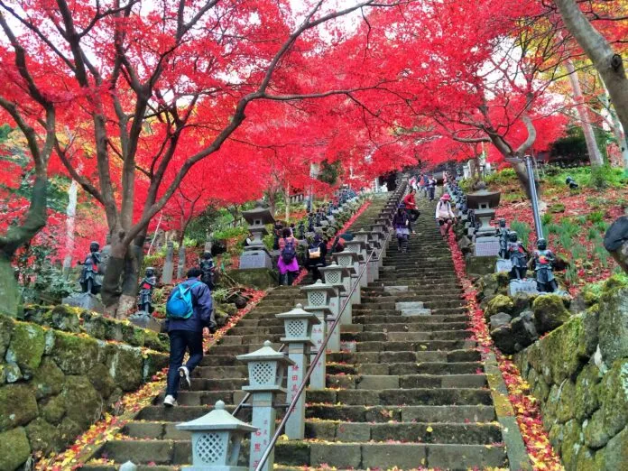 6 điểm du lịch nổi tiếng ở Nhật Bản được người dân địa phương yêu thích