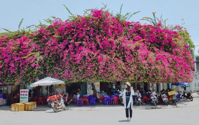 6 lý do bạn không thể bỏ lỡ đảo Phú Quý cho chuyến đi mùa hè