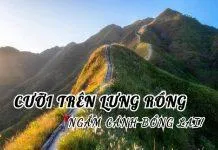 Bạn đã biết đến 5 ngọn núi đẹp nhất ở Việt Nam chưa?