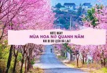 Bạn đã biết đến 5 ngọn núi đẹp nhất ở Việt Nam chưa?