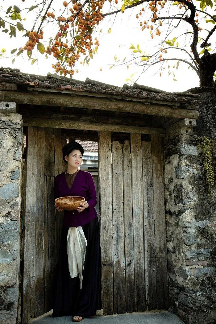 Cây hồng trăm tuổi “làm mưa làm gió” ở Ninh Bình, mãn nhãn những bộ ảnh trong trang phục Việt