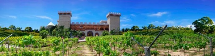 “Check in” sang chảnh tại lâu đài rượu vang Phan Thiết