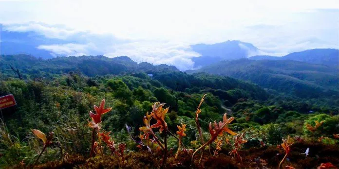 Chiêu Lầu Thi – Lạc trôi cùng biển mây bồng bềnh nơi đỉnh núi “chín tầng thang”