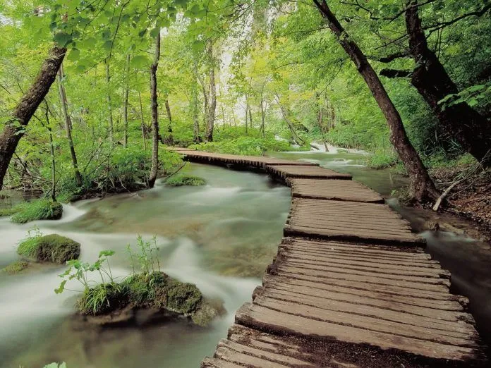 Choáng ngợp trước vẻ đẹp thần tiên của hồ Plitvice, Croatia
