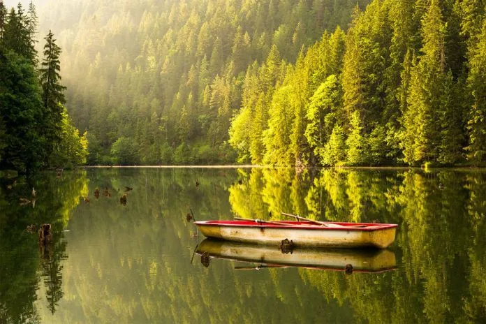 Có một “vùng đất ma cà rồng” đẹp huyền bí ở Transylvania, Romania