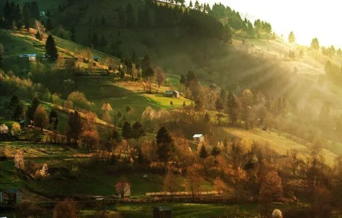 Có một “vùng đất ma cà rồng” đẹp huyền bí ở Transylvania, Romania