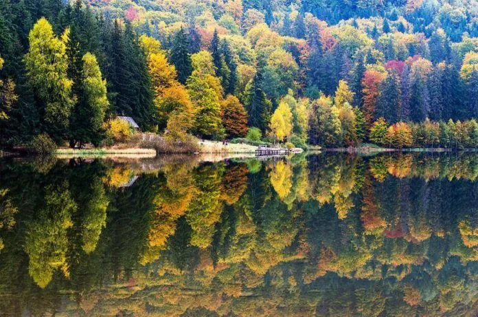 Có một “vùng đất ma cà rồng” đẹp huyền bí ở Transylvania, Romania