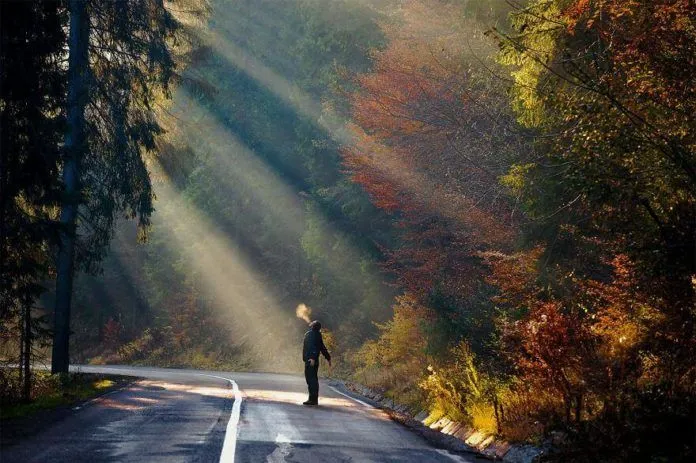 Có một “vùng đất ma cà rồng” đẹp huyền bí ở Transylvania, Romania