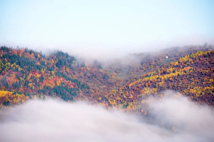 Có một “vùng đất ma cà rồng” đẹp huyền bí ở Transylvania, Romania