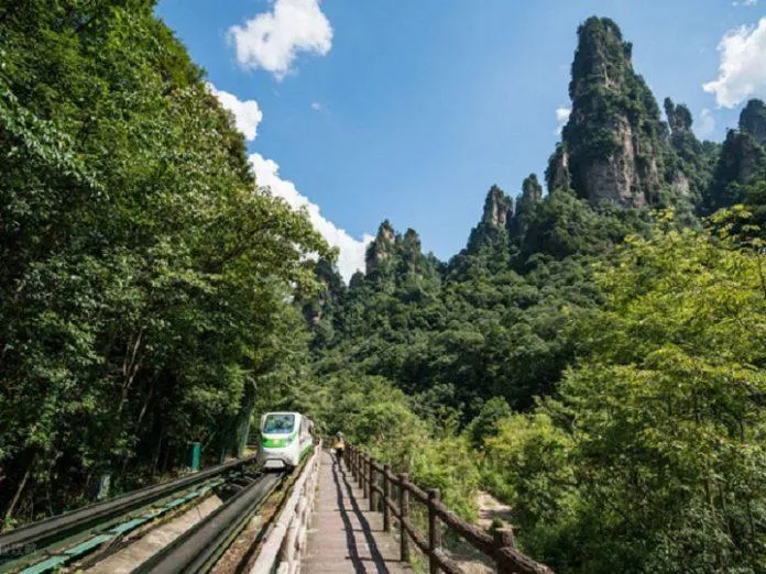 Công viên Rừng Quốc gia Trương Gia Giới – Không chỉ có ngọn núi Avatar huyền thoại!