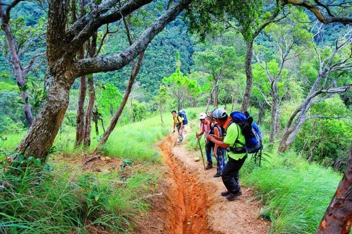 Cung đường trekking đẹp nhất Việt Nam đã đi là phải “nhớ đời”