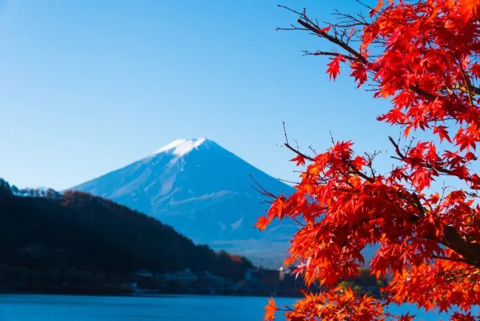 Đắm mình trong sắc đỏ mùa thu Nhật Bản
