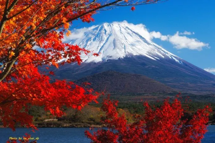 Đắm mình trong sắc đỏ mùa thu Nhật Bản