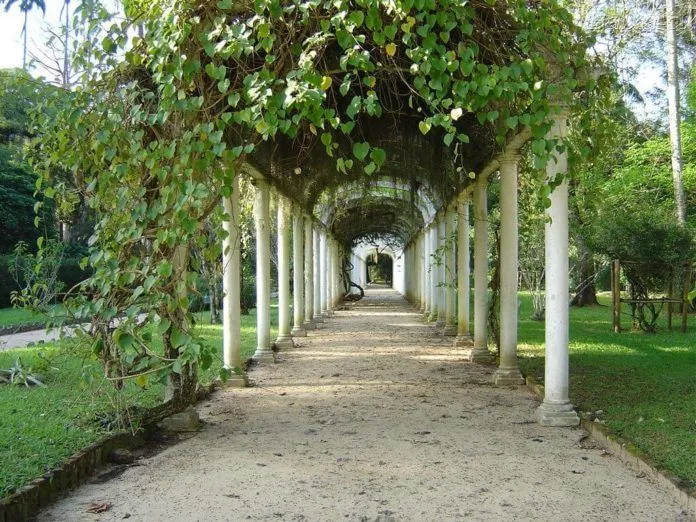 Đến thăm “vườn địa đàng” Jardim Botanico ở Brazil