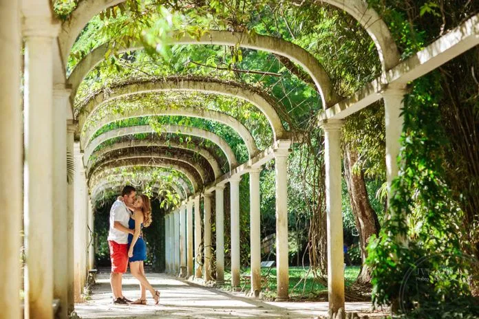 Đến thăm “vườn địa đàng” Jardim Botanico ở Brazil