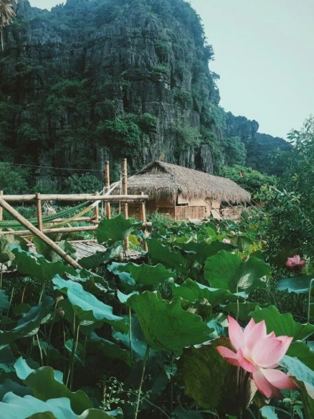 Đến trú tại homestay đậm chất “quê mùa” mà sành điệu ở Ninh Bình