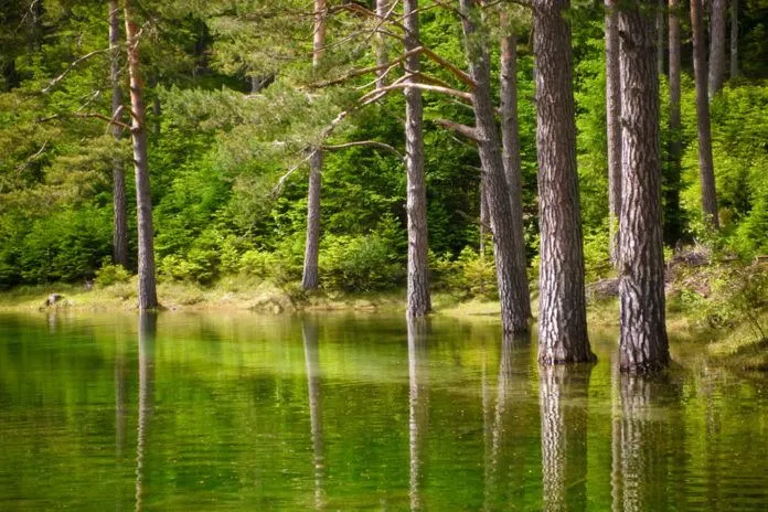 Đi Áo săn “mùa nước nổi” ở Green Lake