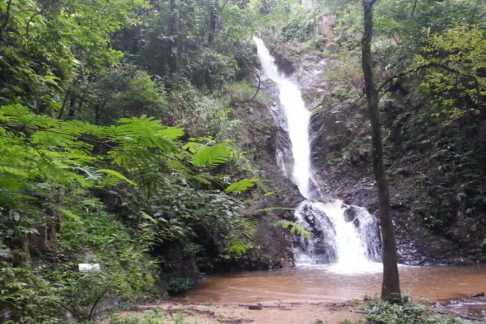 Đi bộ trong rừng khám phá thác Mae Yen – Hòa mình với thiên nhiên khi du lịch Thái Lan