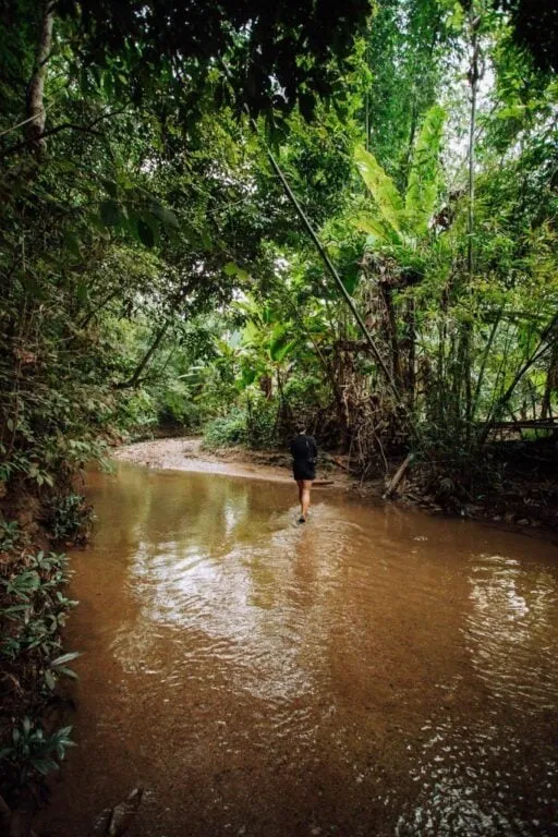 Đi bộ trong rừng khám phá thác Mae Yen – Hòa mình với thiên nhiên khi du lịch Thái Lan