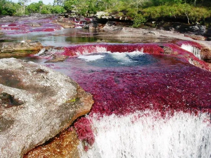 Dòng sông ngũ sắc ở Colombia