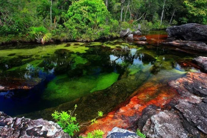 Dòng sông ngũ sắc ở Colombia