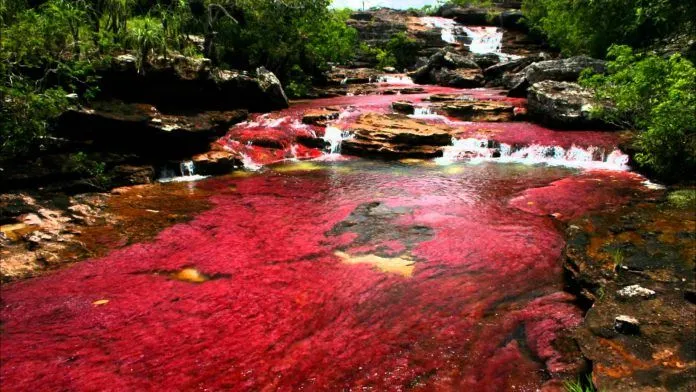 Dòng sông ngũ sắc ở Colombia