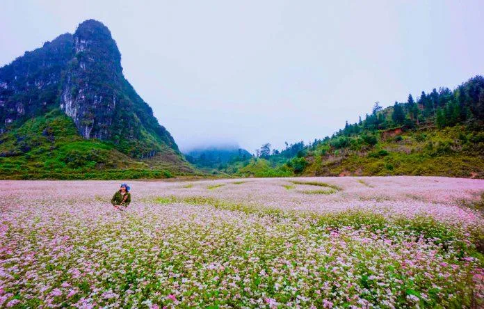 Du lịch Hà Giang – Nơi cao nguyên đá nở hoa và đậm đà vẻ đẹp văn hóa vùng Tây Bắc