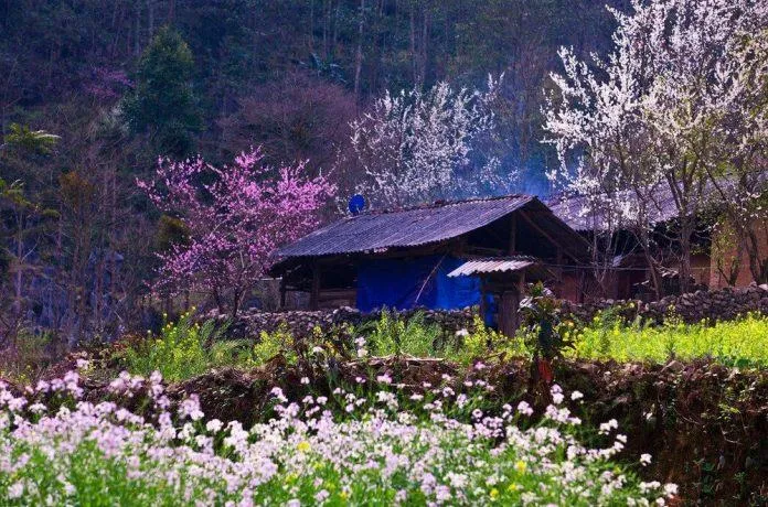 Du lịch Hà Giang – Nơi cao nguyên đá nở hoa và đậm đà vẻ đẹp văn hóa vùng Tây Bắc