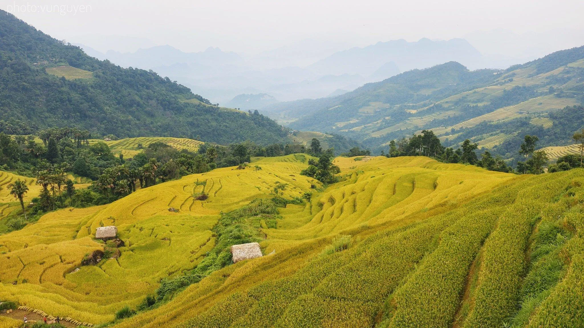 Du lịch Hà Giang – Nơi cao nguyên đá nở hoa và đậm đà vẻ đẹp văn hóa vùng Tây Bắc