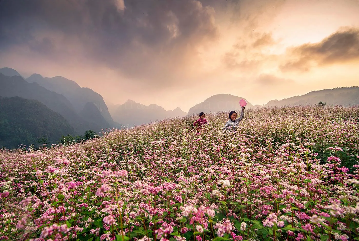 Du lịch Hà Giang – Nơi cao nguyên đá nở hoa và đậm đà vẻ đẹp văn hóa vùng Tây Bắc