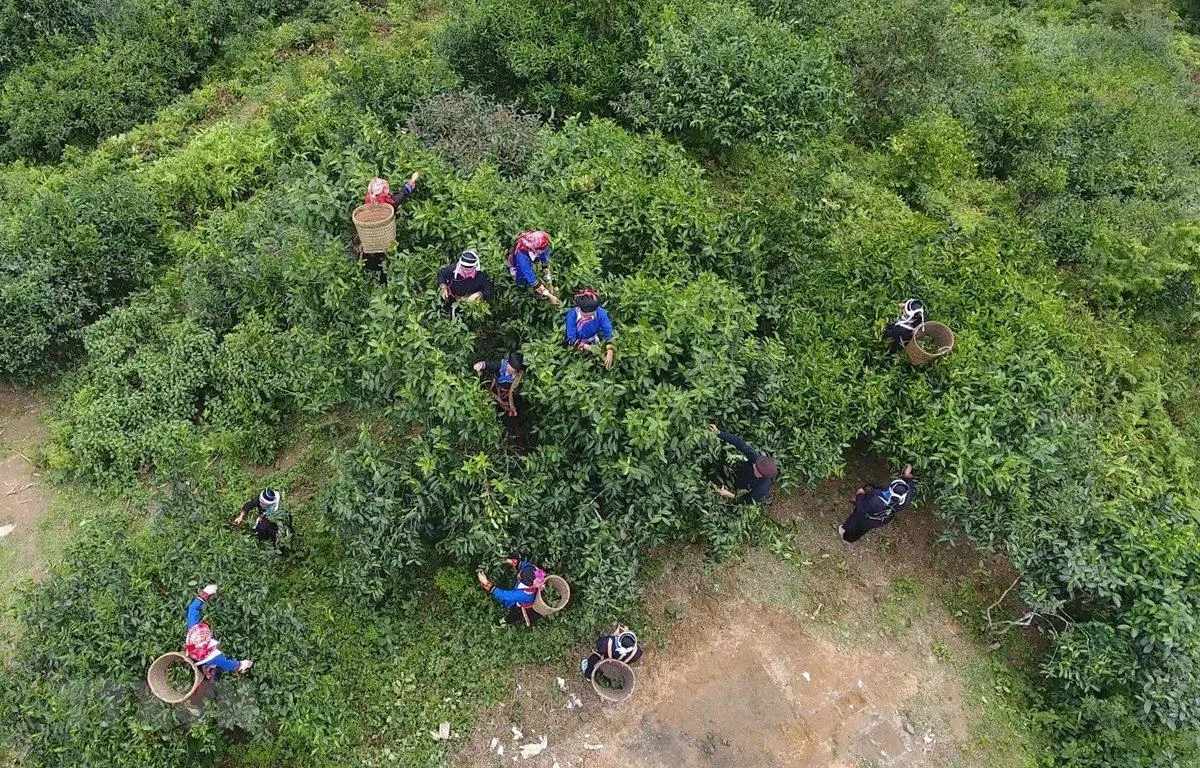 Du lịch Hà Giang – Nơi cao nguyên đá nở hoa và đậm đà vẻ đẹp văn hóa vùng Tây Bắc