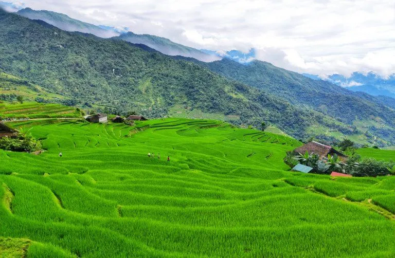 Du lịch Hà Giang – Nơi cao nguyên đá nở hoa và đậm đà vẻ đẹp văn hóa vùng Tây Bắc