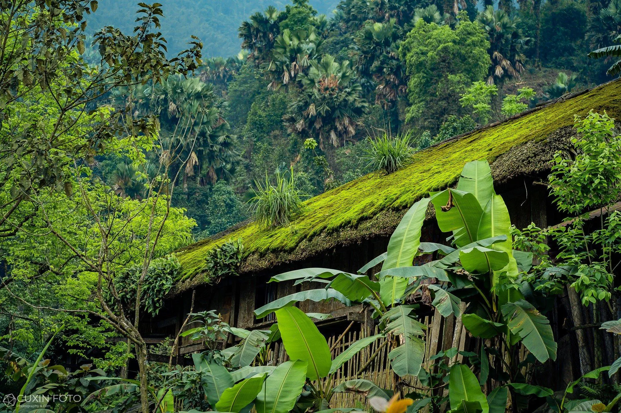 Du lịch Hà Giang – Nơi cao nguyên đá nở hoa và đậm đà vẻ đẹp văn hóa vùng Tây Bắc