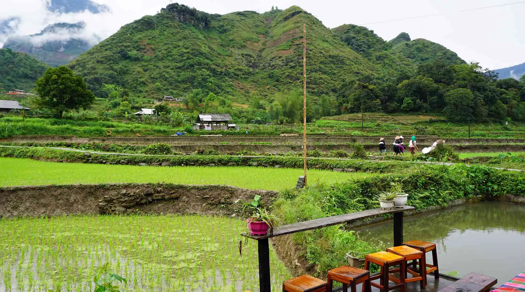 Du lịch Hà Giang – Nơi cao nguyên đá nở hoa và đậm đà vẻ đẹp văn hóa vùng Tây Bắc