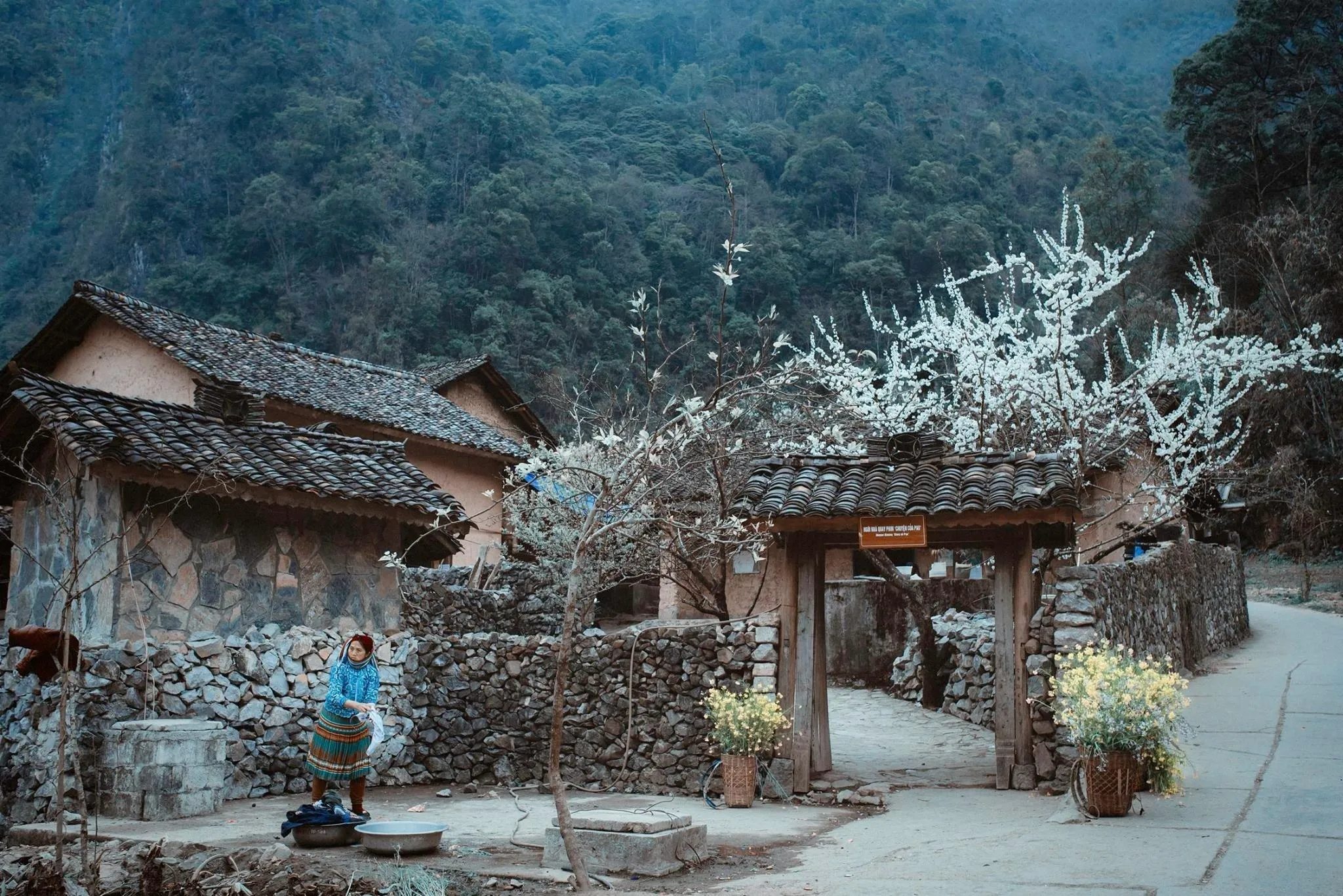 Du lịch Hà Giang – Nơi cao nguyên đá nở hoa và đậm đà vẻ đẹp văn hóa vùng Tây Bắc