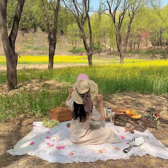 Du lịch Hàn Quốc tháng Tư – Thời tiết tuyệt vời, hoa lá tuyệt đẹp!