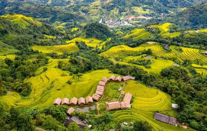 Du lịch Hoàng Su Phì – Trải nghiệm ngắm mùa lúa chín không thể bỏ lỡ khi đến Hà Giang