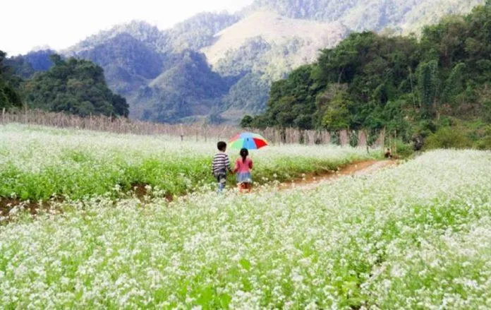 Du lịch Mộc Châu – Điểm hẹn tháng 10 nơi núi rừng Tây Bắc