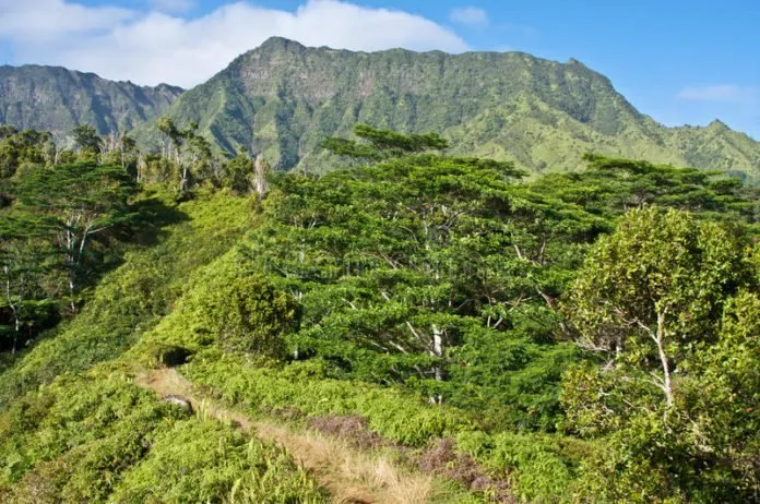 Du lịch Mỹ thăm đảo Kauai, điểm du lịch cực hút khách