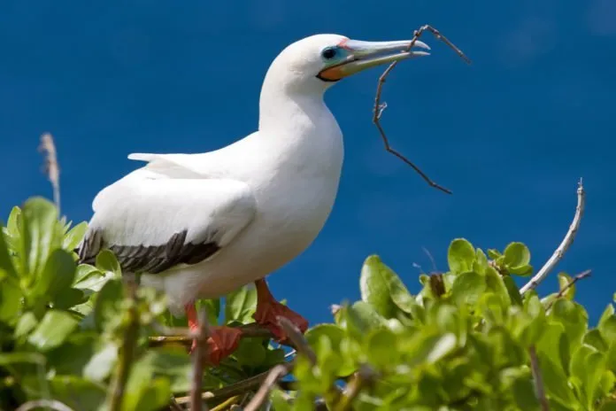 Du lịch Mỹ thăm đảo Kauai, điểm du lịch cực hút khách