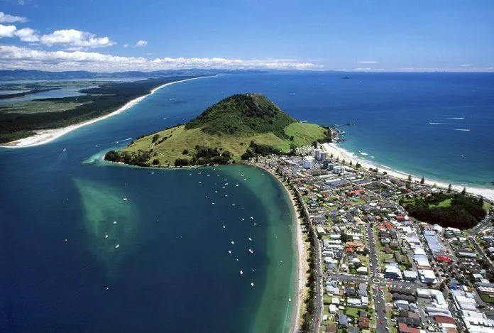 Du lịch New Zealand tham quan vườn kiwi “hoành tráng” bậc nhất của đất nước này!