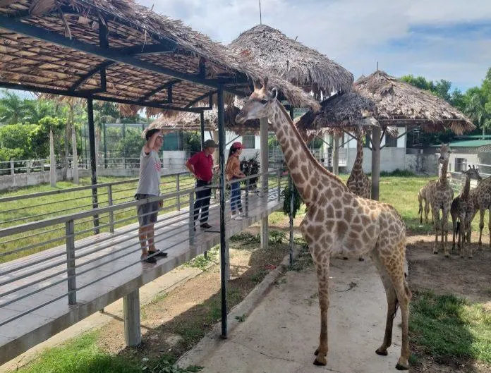 Du lịch Nghệ An sẽ tuyệt vời hơn khi bạn biết những địa điểm mới lạ và thú vị này