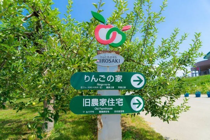Du lịch Nhật Bản đắm chìm trong vườn táo mùa thu ở Hirosaki